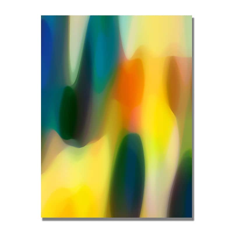 Trademark Fine Art Amy Vangsgard 'Color Fury IV' Canvas Art 18x24 Inches image 1