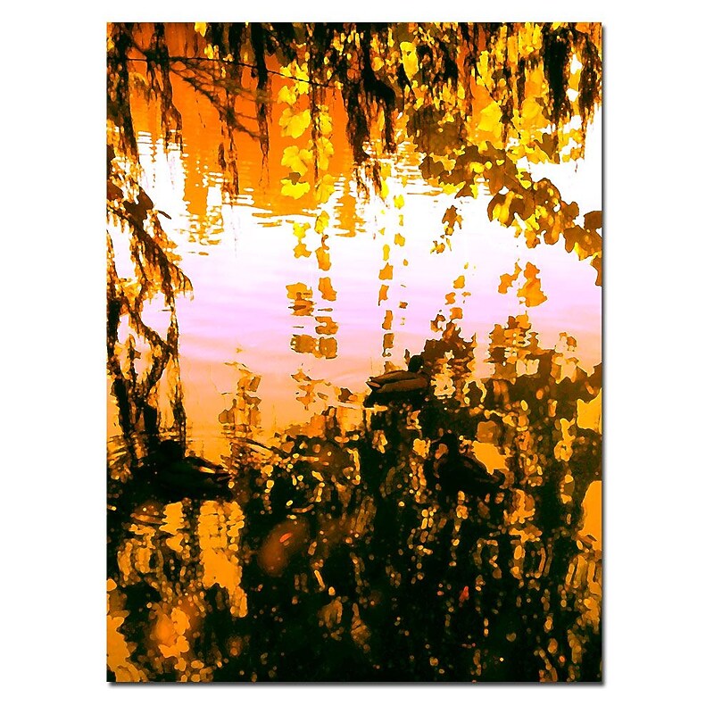 Trademark Fine Art Ducks in Morning Light-Canvas Art Ready to Hang image 1