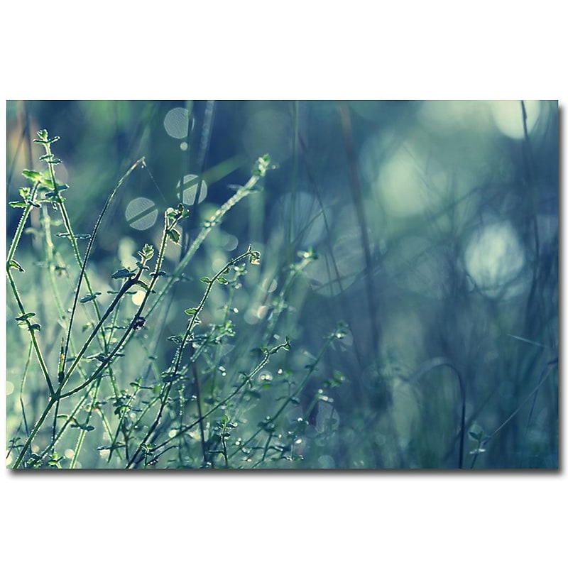 Trademark Fine Art Beata Czyzowska Young 'Blues in the Morning' Canvas Art , BC0002-C2232GG image 1