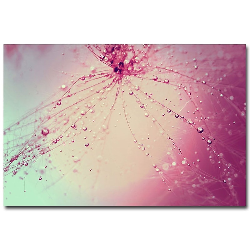 Trademark Fine Art Beata Czyzowska Young 'Celebration' Canvas Art 22x32 Inches image 1