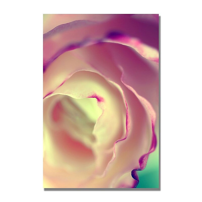 Trademark Fine Art Beata Czyzowska Young 'Flavors of Summer' Canvas Art image 1