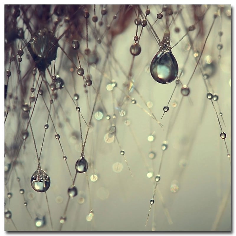 Trademark Fine Art Beata Czyzowska Young 'Blues in the Morning' Canvas Art, BC0008-C2232GG image 1