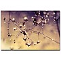 Trademark Fine Art Beata Czyzowska Young 'Blues in the Morning' Canvas Art, BC0008-C2232GG~#|#~m000054010_sc7