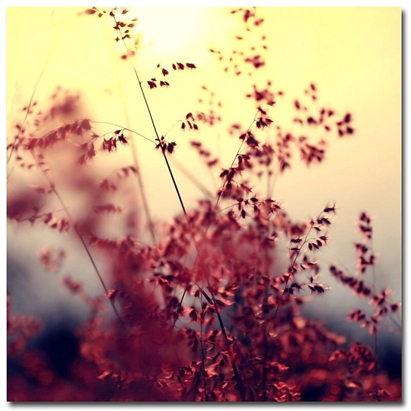 Trademark Fine Art Beata Czyzowska Young 'Memories of You' Canvas Art image 1