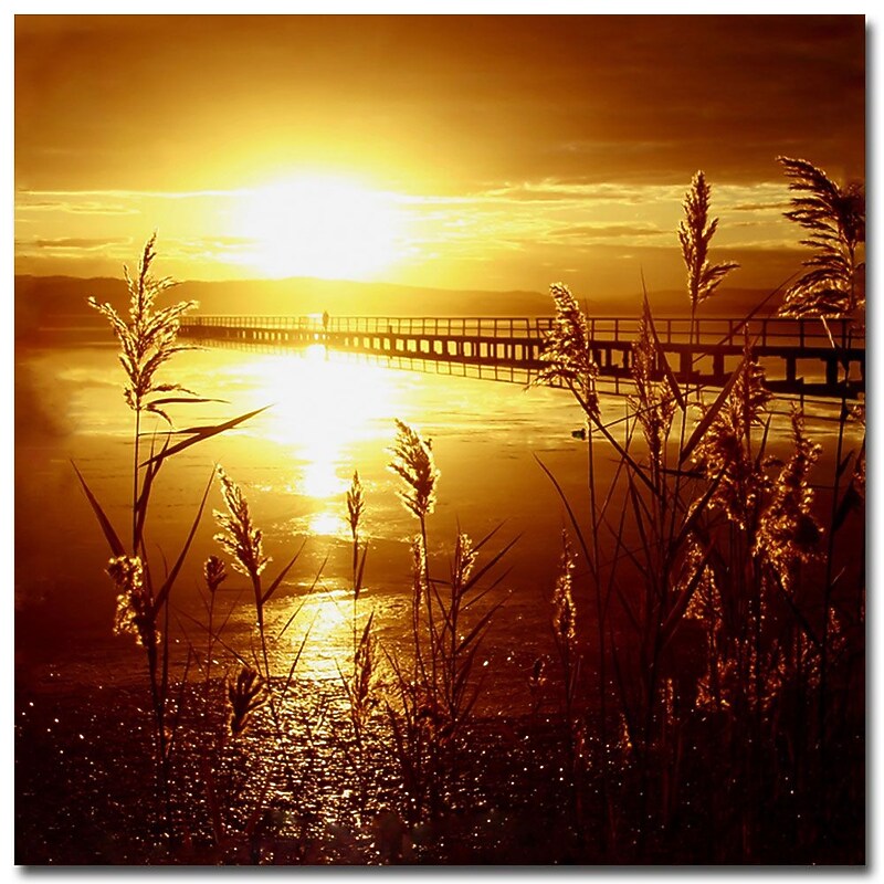 Trademark Fine Art Beata Czyzowska Young 'My Date with the Sun' Canvas Art 24x24 Inches image 1