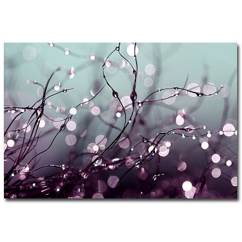 Trademark Fine Art Beata Czyzowska Young 'Somewhere Over the Rainbow' Canvas 22x32 Inches image 1