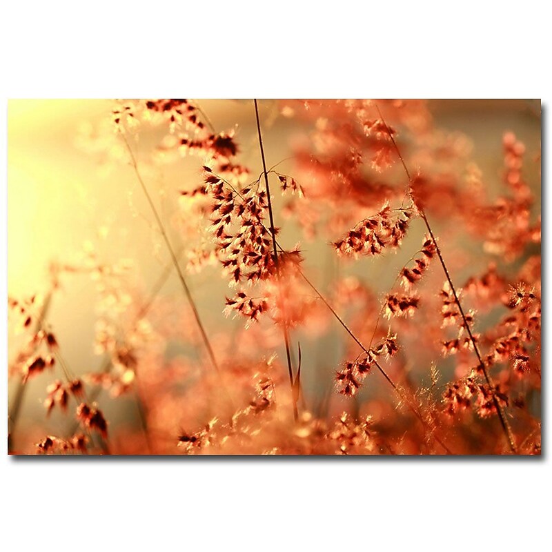 Trademark Fine Art Beata Czyzowska Young 'Sunset Conversations' Canvas Art 16x24 Inches image 1