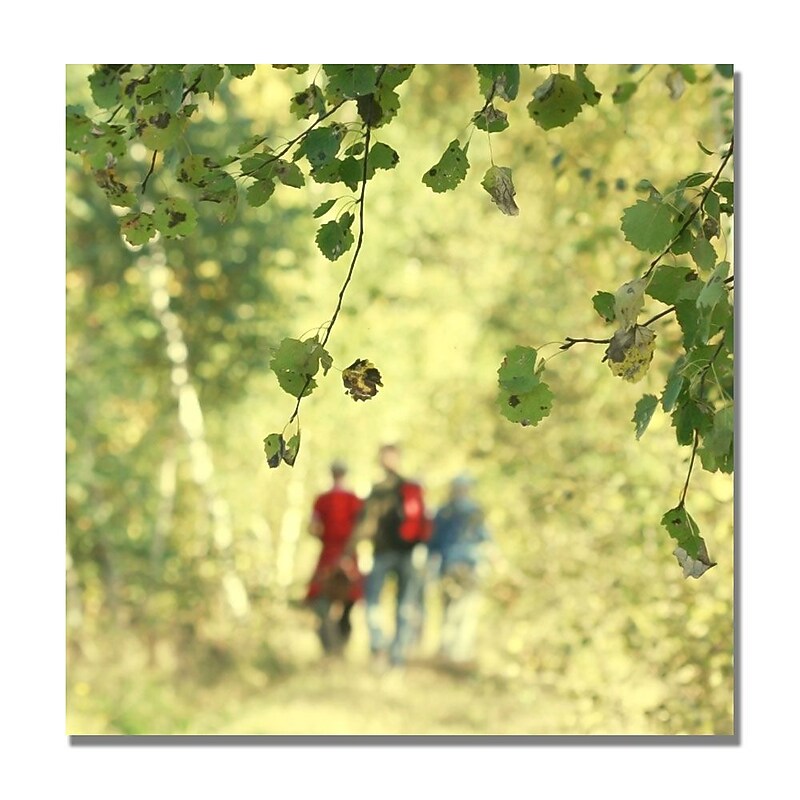 Trademark Fine Art Beata Czyzowska 'A Walk to Remember' Canvas Art 24x24 Inches image 1