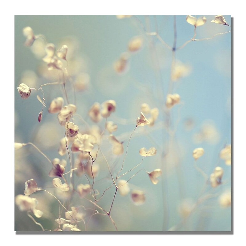 Trademark Fine Art Beata Czyzowska 'Little Secrets' Canvas Art image 1