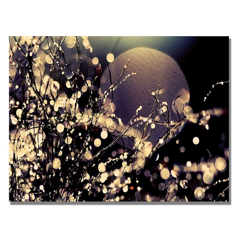 Trademark Fine Art Beata Czyzowska Young 'Moonrise in Fairyland' Canvas Art 22x32 Inches image 1