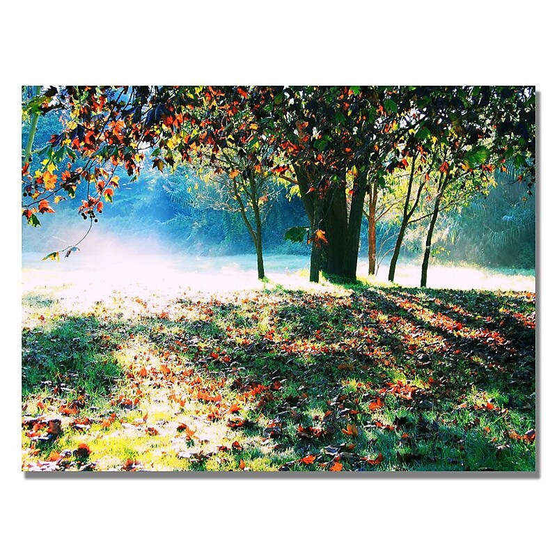 Trademark Fine Art Beata Czyzowska 'Morning Moods' Canvas Art 22x32 Inches image 1