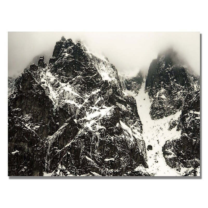 Trademark Fine Art Beata Czyzowska 'Smokey Mountains' Canvas Art image 1