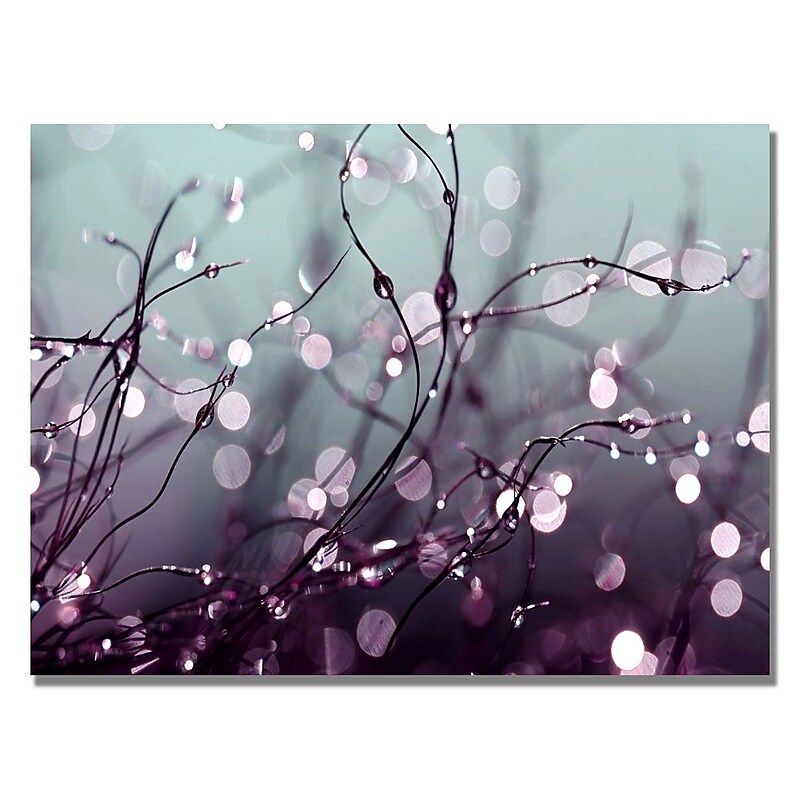 Trademark Fine Art Beata Czyzowska 'Somewhere Over the Rainbow' Canvas Art 18x24 Inches image 1