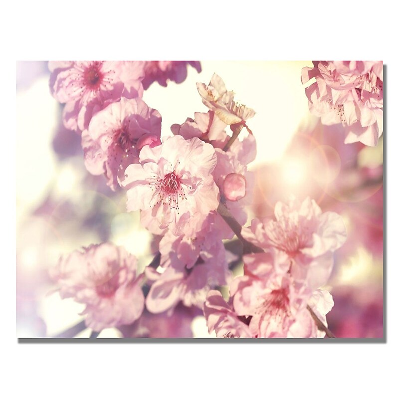 Trademark Fine Art Beata Czyzowska 'Spring Melody' Canvas Art image 1