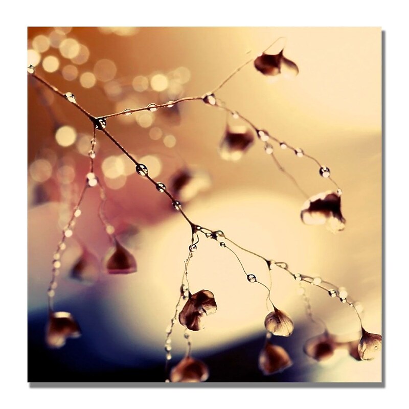 Trademark Fine Art Beata Czyzowska 'Summer Concert' Canvas Art 24x24 Inches image 1