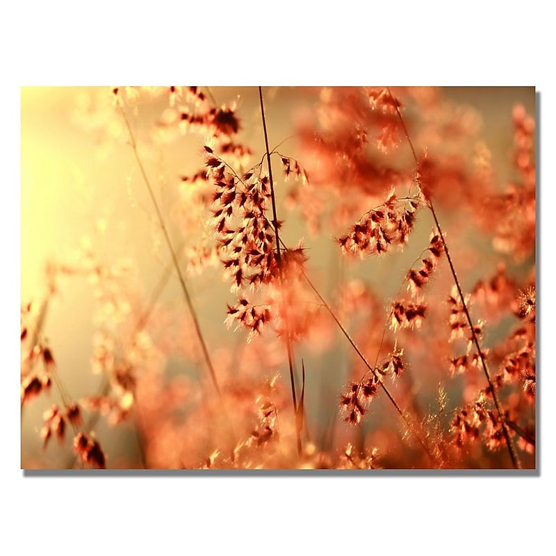 Trademark Fine Art Beata Czyzowska 'Sunset Conversations' Canvas Art 22x32 Inches image 1