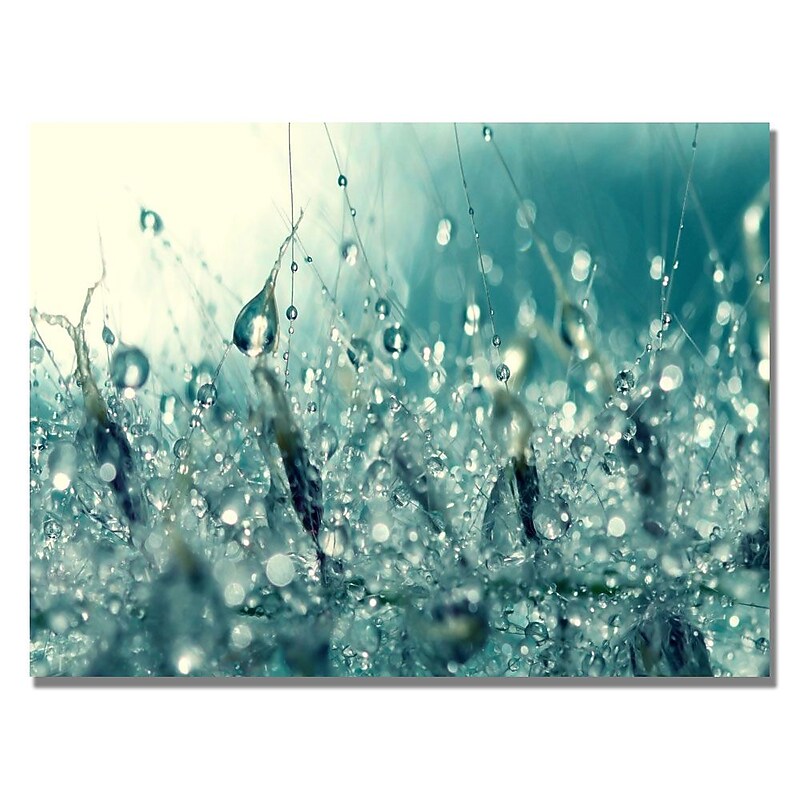 Trademark Fine Art Beata Czyzowska 'Under the Sea' Canvas Art 18x24 Inches image 1