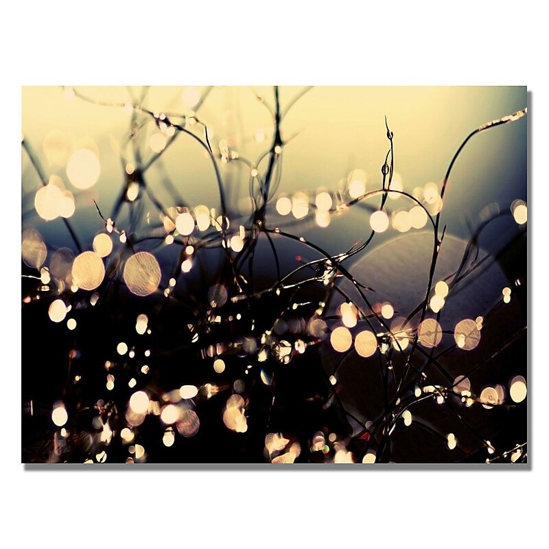 Trademark Fine Art Beata Czyzowska 'When Fairies Dance' Canvas Art image 1