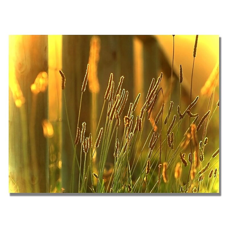 Trademark Fine Art Beata Czyzowska 'When the Sun Goes Down' Canvas Art image 1