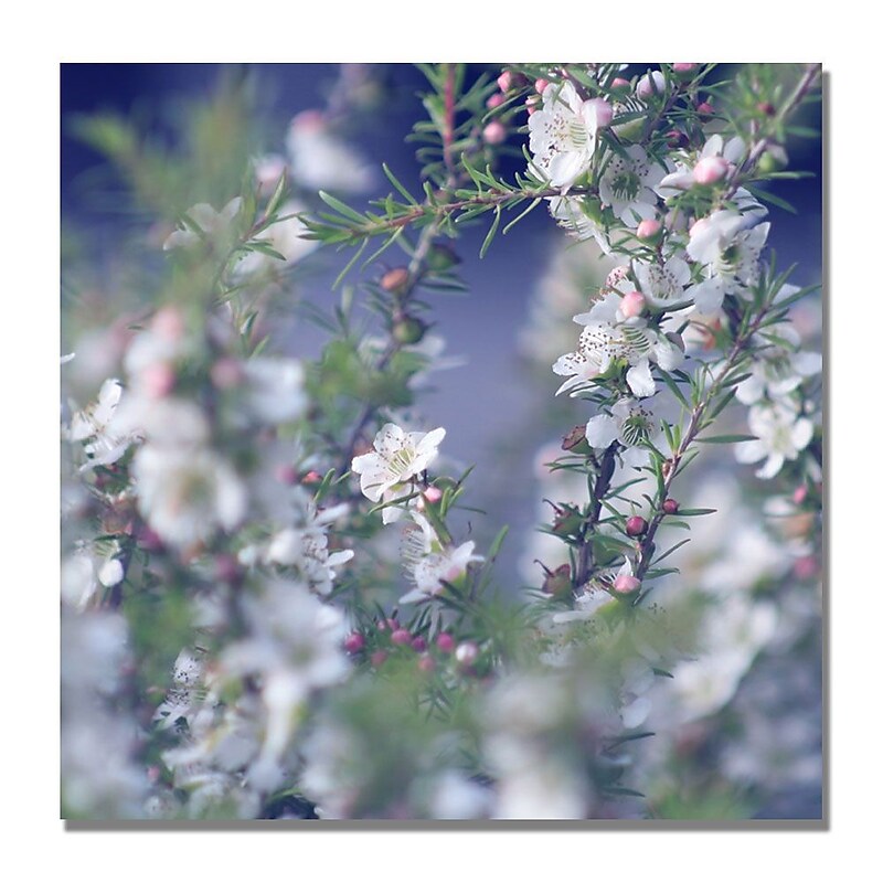 Trademark Fine Art Beata Czyzowska 'When Your in Her Garden' Canvas Art image 1