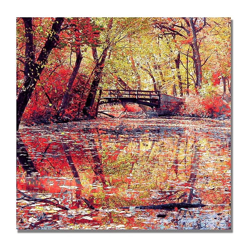 Trademark Fine Art Beata Czyzowska 'Monets Garden' Canvas Art image 1