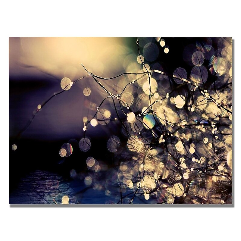 Trademark Fine Art Beata Czyzowska 'Fairies in my Garden' Canvas Art image 1