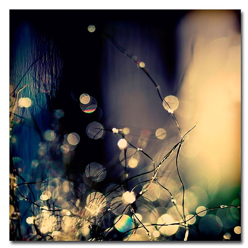 Trademark Fine Art Beata Czyzowska 'Fairies at Nighttime' Canvas Art 35x35 Inches image 1