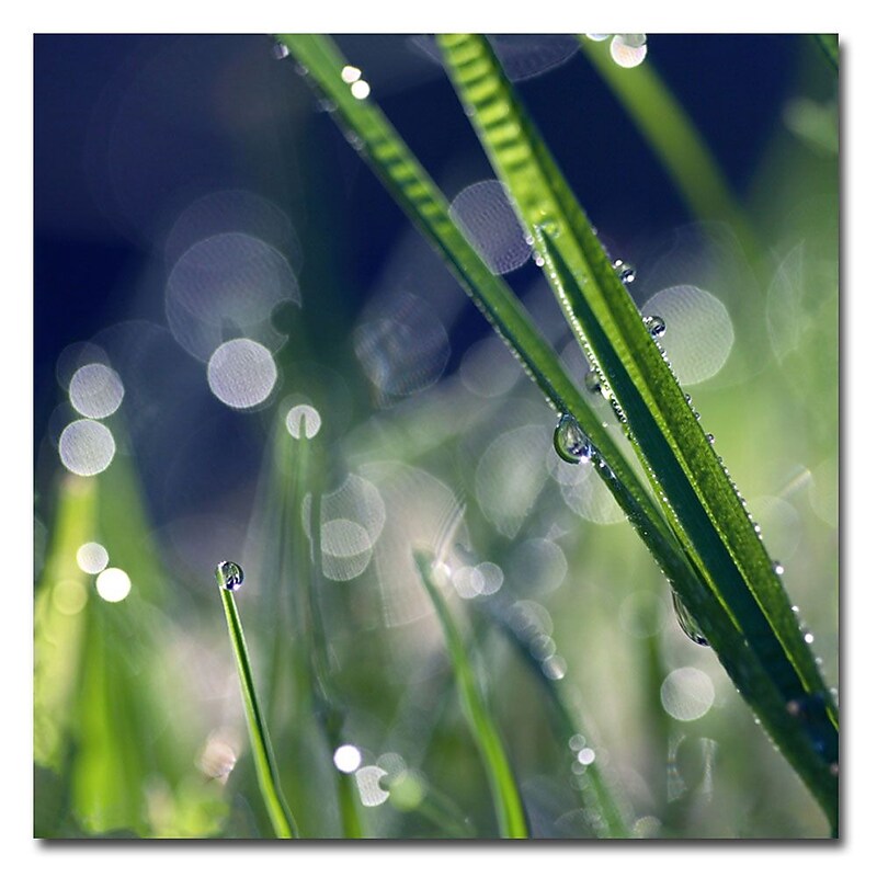 Trademark Fine Art Beata Czyzowska 'Like Sunday Morning' Canvas Art 24x24 Inches image 1