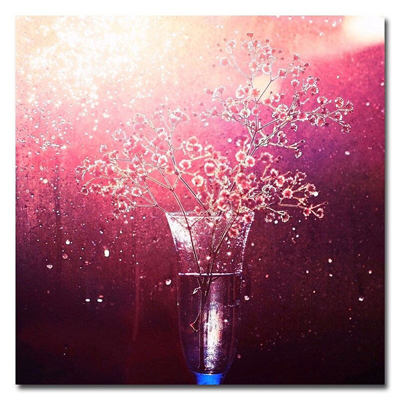 Trademark Fine Art Beata Czyzowska 'Painted with Light' Canvas Art 35x35 Inches image 1