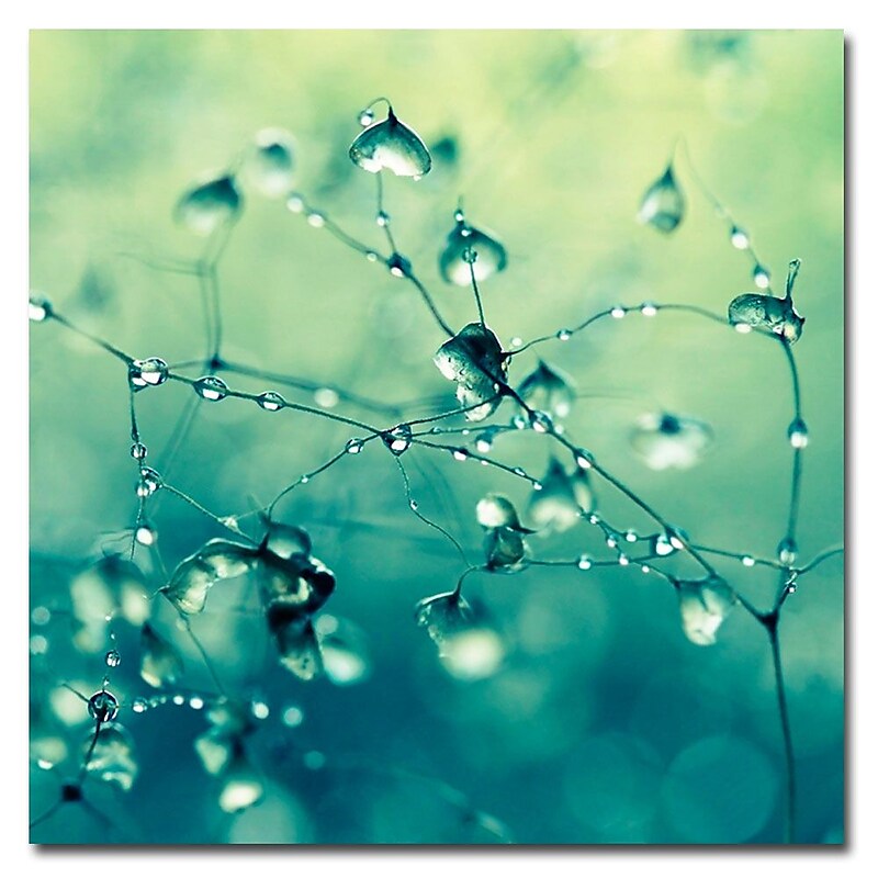 Trademark Fine Art Beata Czyzowska 'Spring Notes' Canvas Art 24x24 Inches image 1