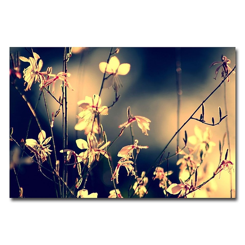 Trademark Fine Art Beata Czyzowska Young 'Sunshine in my Garden' Canvas Art 22x32 Inches image 1