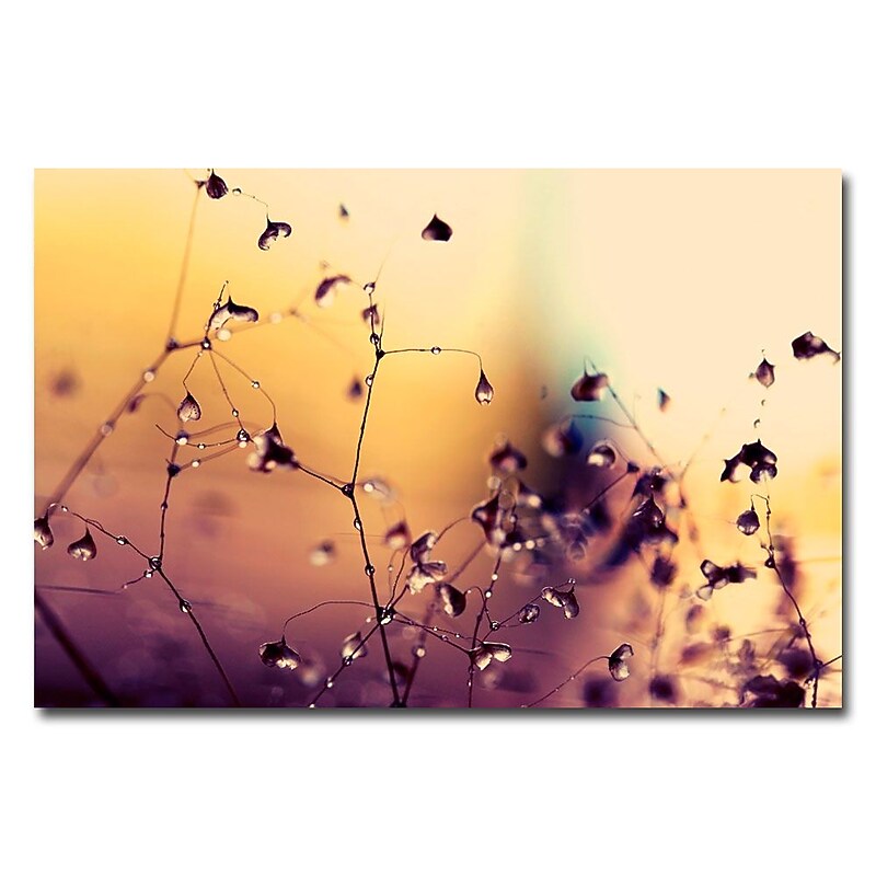 Trademark Fine Art Beata Czyzowska Young 'When They're Happy' Canvas Art 16x24 Inches image 1