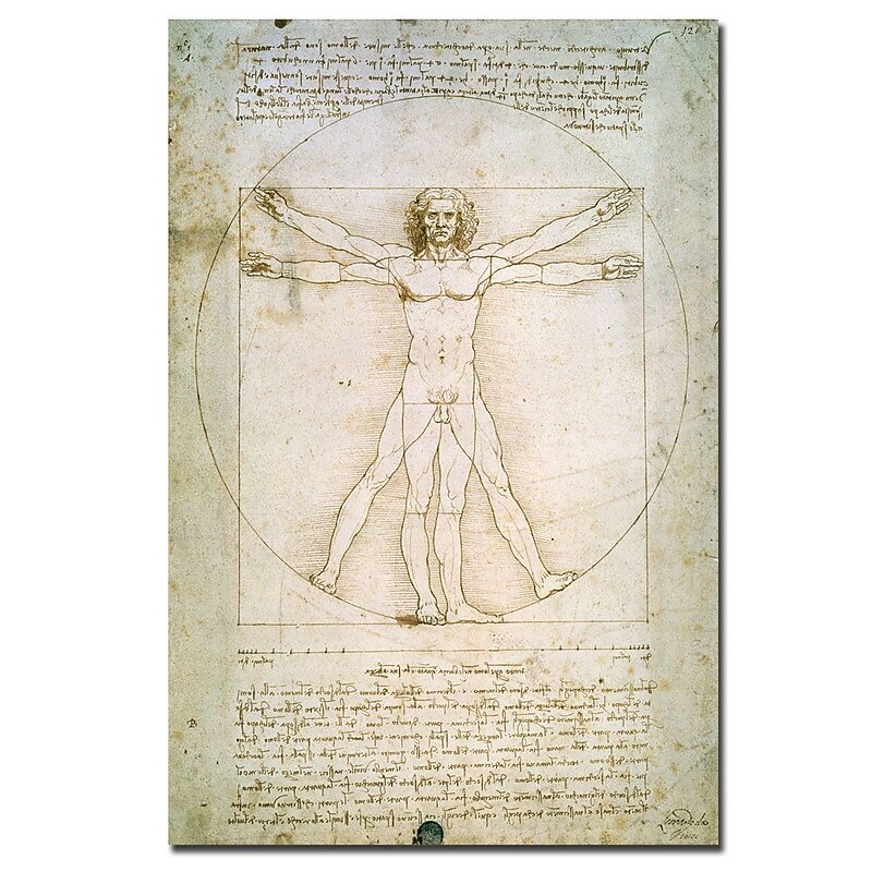 Trademark Fine Art Leonardo da Vinci 'The Proportions of the Human Figure' Art 22 x 32 Inches image 1