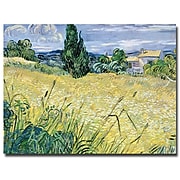 Trademark Fine Art Vincent van Gogh 'Landscape with Green Corn, 1889' Canvas