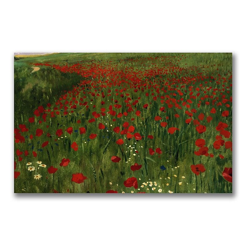 Trademark Fine Art Pal Szinyei Merse 'The Poppy Feild 1896' Canvas Art 14x24 Inches image 1