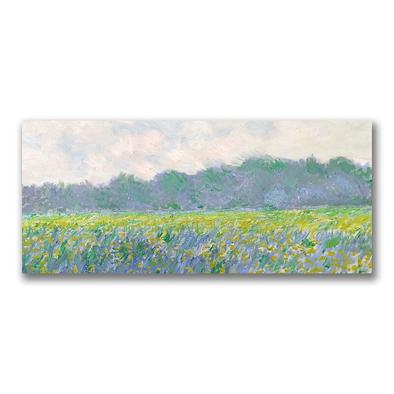 Trademark Fine Art Claude Monet 'Field of Yellow Irises at Giverny' Canvas Art 20x47 Inches image 1