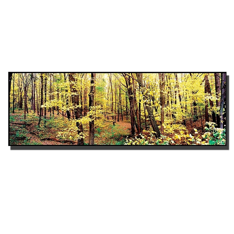 Trademark Fine Art Preston 'Trees' Canvas Art 10x32 Inches image 1