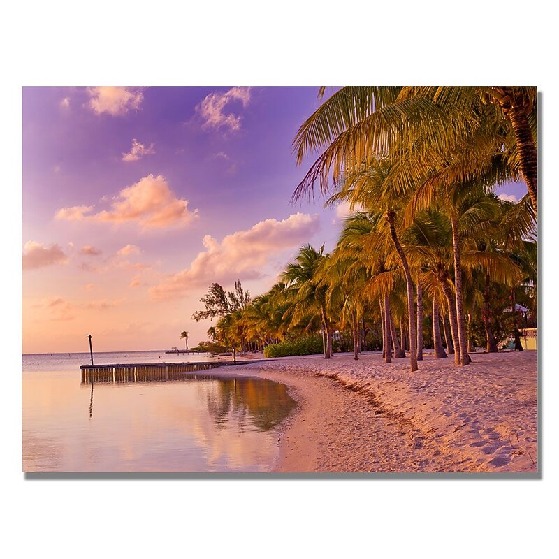 Trademark Fine Art Preston 'Cayman Beach Full' Canvas Art 35x47 Inches image 1