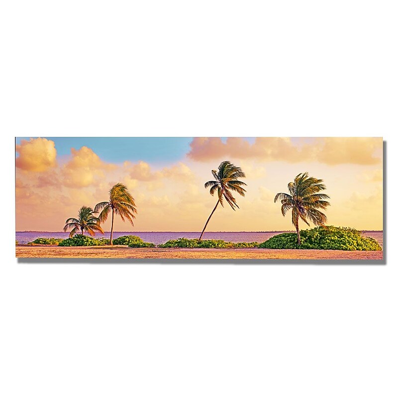 Trademark Fine Art Preston 'Cayman Palms' Canvas Art 16x47 Inches image 1