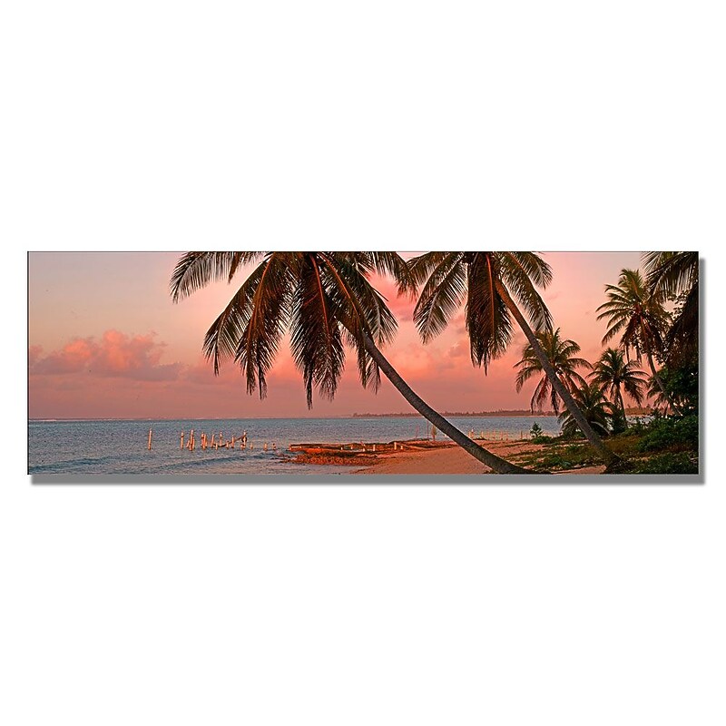Trademark Fine Art 'Cayman Palms II' 18" x 24" Canvas Art image 1