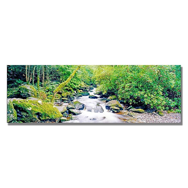 Trademark Fine Art Preston 'Ireland Green' Canvas Art 16x47 Inches image 1