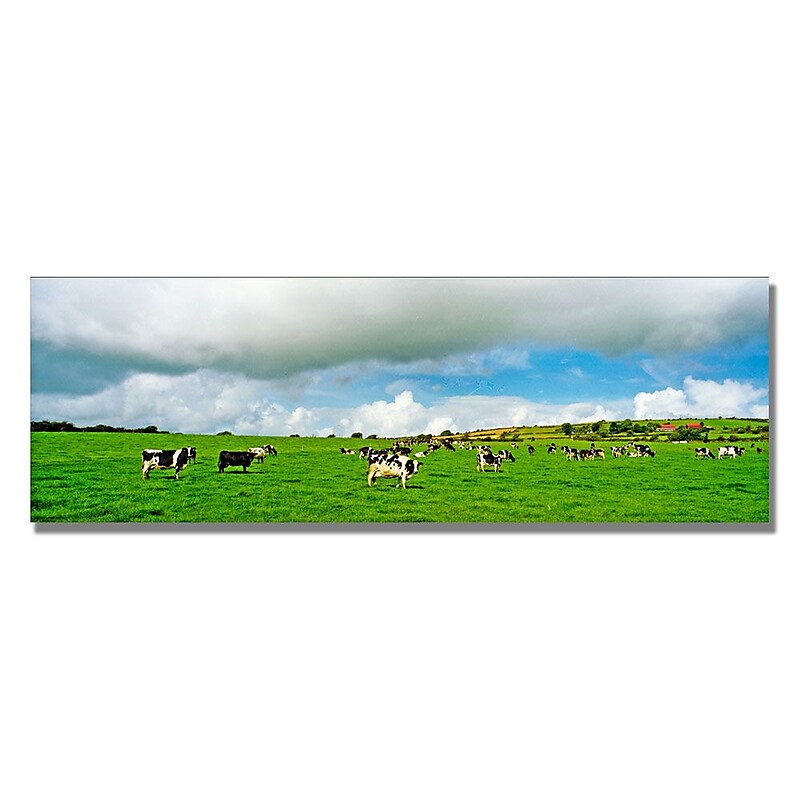 Trademark Fine Art 'Irish Countryside' 18" x 24" Canvas Art image 1