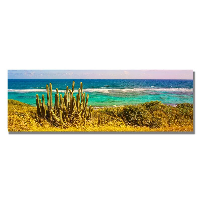 Trademark Fine Art 'St. Croix Beach' 18" x 24" Canvas Art image 1