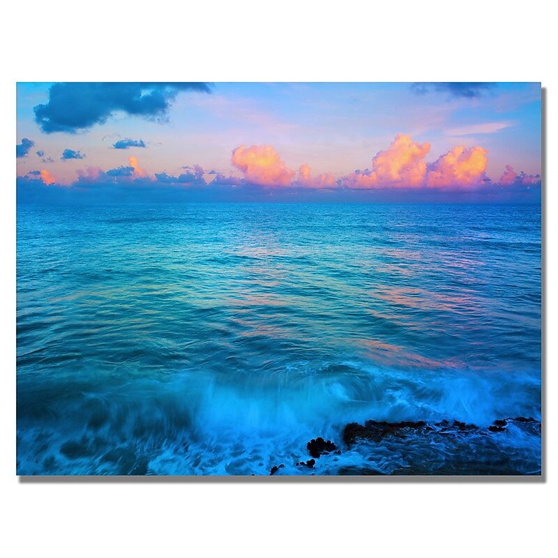 Trademark Fine Art 24" x 36" Wooden Frame St. Bart's image 1