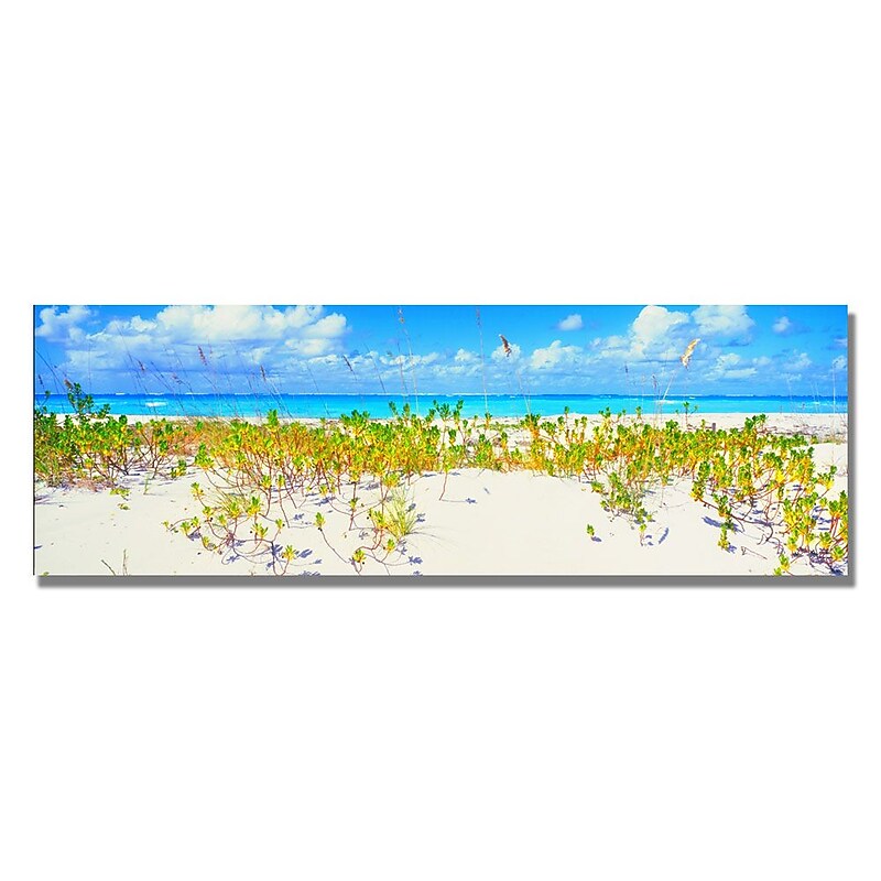 Trademark Fine Art 'Turks Beach' 18" x 24" Canvas Art image 1