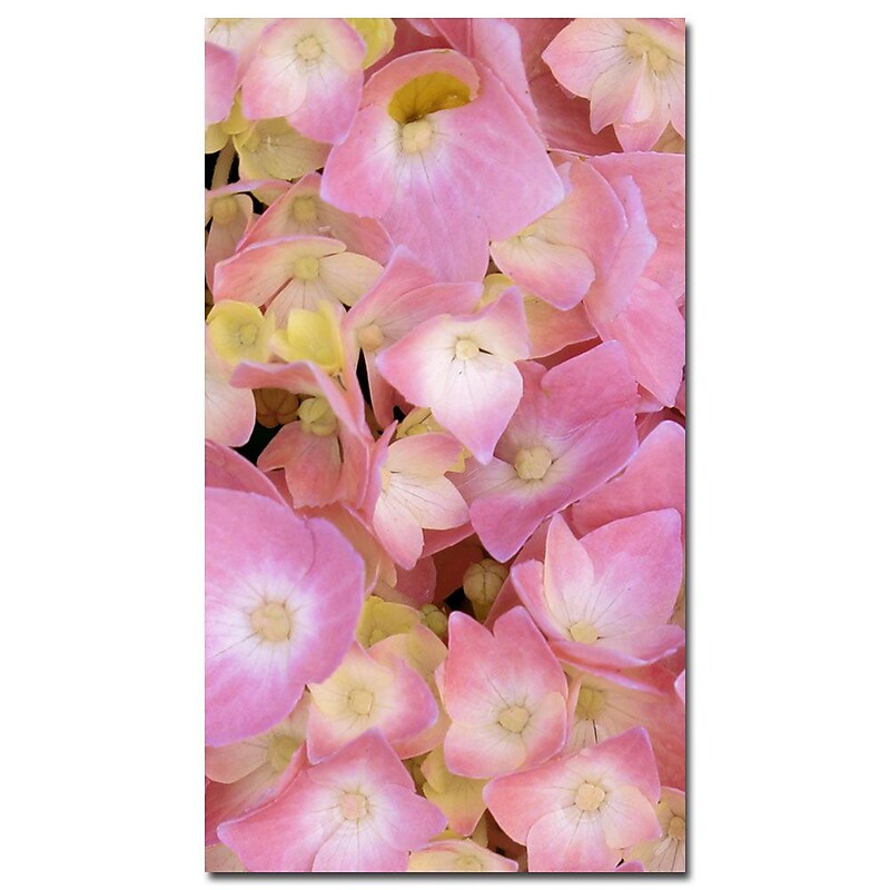 Trademark Fine Art Kathie McCurdy 'Pink Hydrangea' Canvas Art image 1