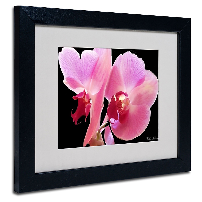 Trademark Fine Art Kathie McCurdy 'Orchid' Matted Art Black Frame 16x20 Inches image 1