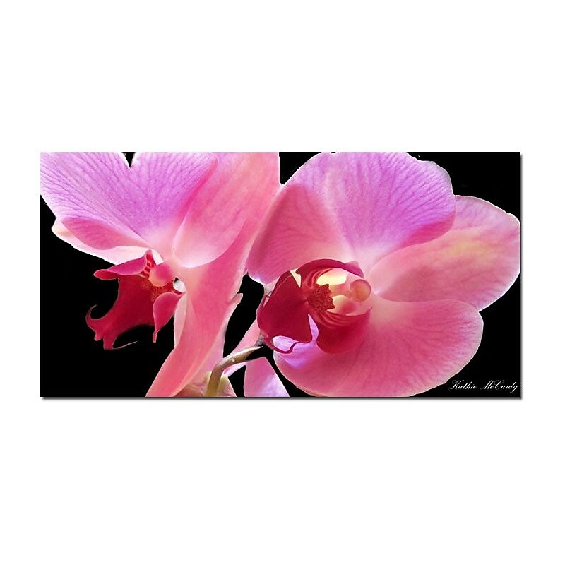 Trademark Fine Art Kathie McCurdy 'Orchid' Canvas Art 16x32 Inches image 1