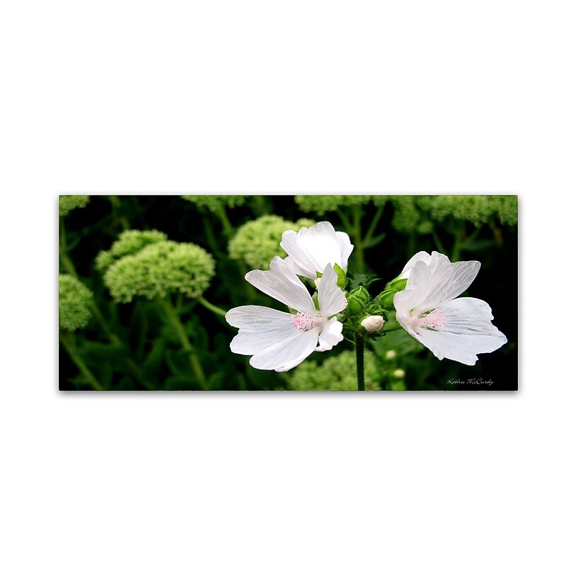 Trademark Fine Art Kathie McCurdy 'White Mallow' Canvas Art image 1