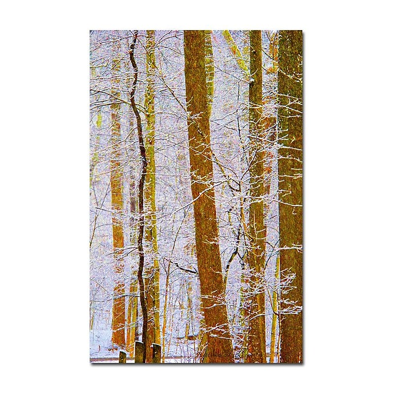 Trademark Fine Art Kathie McCurdy 'Sunflower' Canvas Art image 1